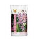 Siro Orquídia 11L